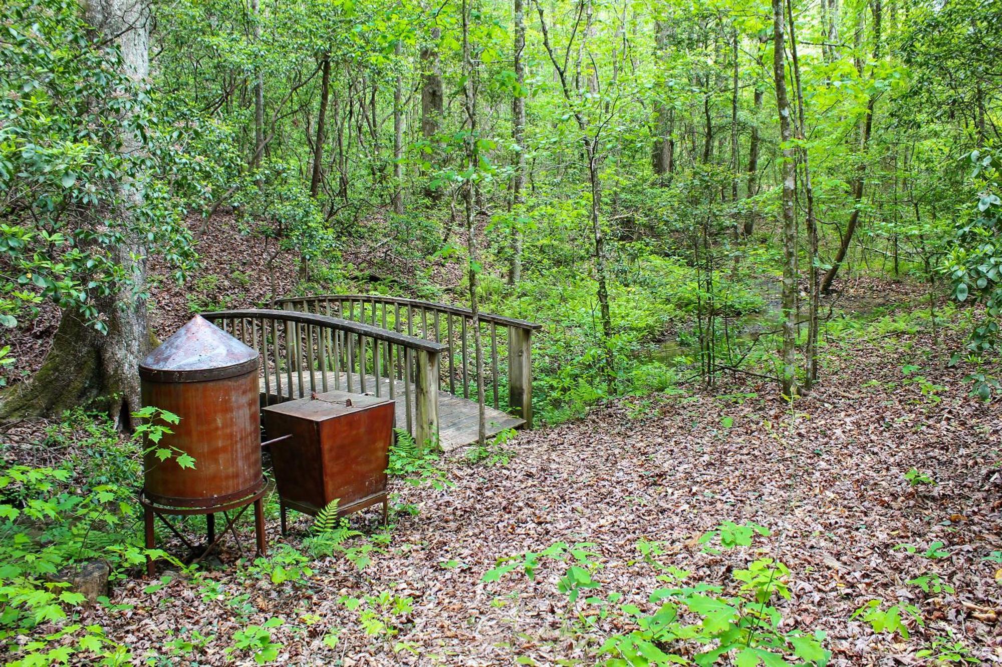 Sautee Nacoochee Mtn Paradise With Spacious Deck! מראה חיצוני תמונה